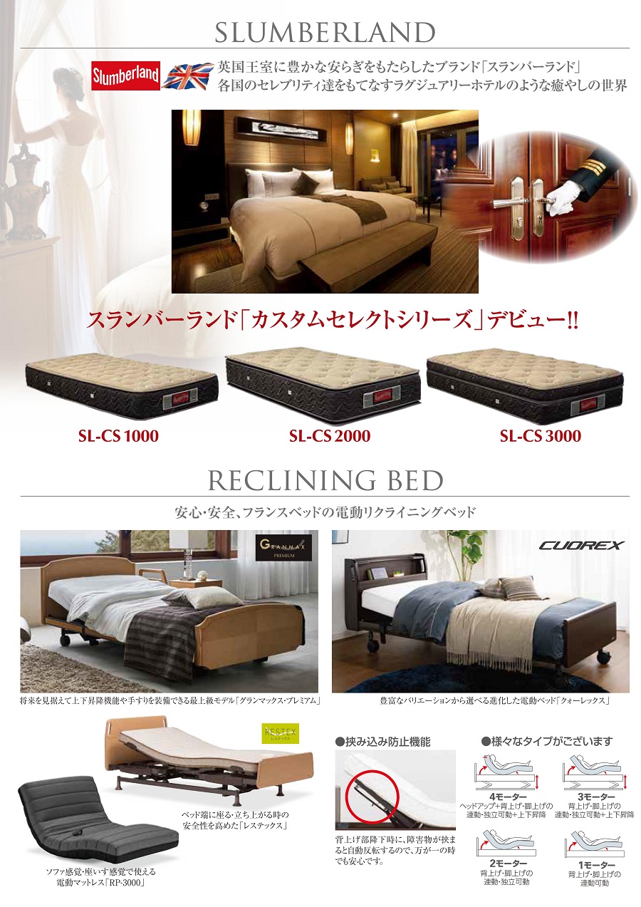 マットレス(シングル、セミダブル、ダブル、ワイドダブル、クイーンサイズ、キングサイズなど)【LT、ボディコンディショニング、リハテック、こんにゃくマットレスなど】 電動ベッド【RP-1000、 グランマックス、超低床フロアーベッド、エゼックスなど】 介護ベッド ソファベッド